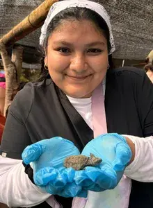Ava smiling holding up a baby turtle with blue gloves