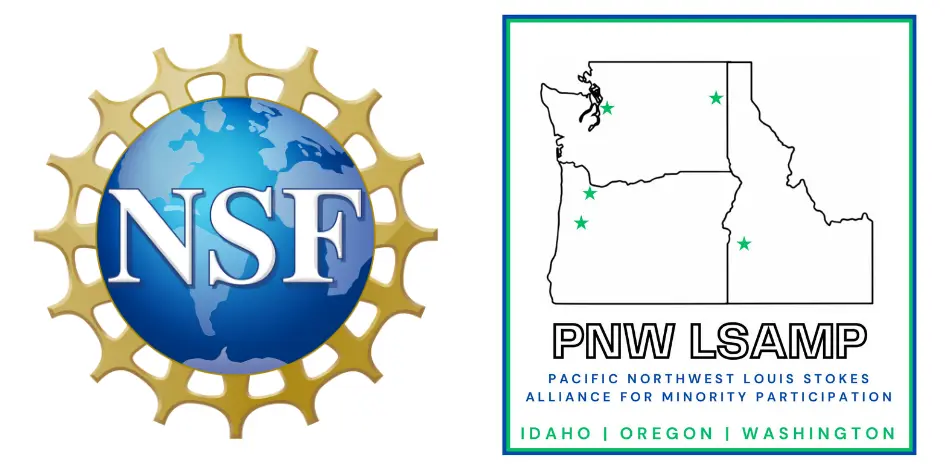 N.S.F and LSAMP logo